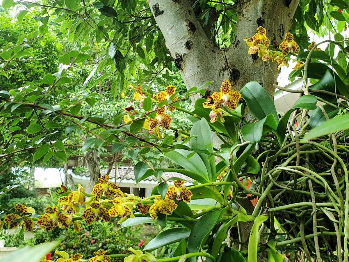 Villa Dieu Thong - Secrect Garden, view săn mây và núi Dalat Exterior foto